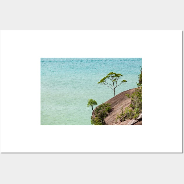 Small tree and big vast ocean scenery Wall Art by Juhku